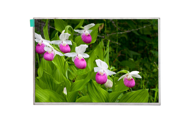 8寸LCD顯示屏 8寸LCD顯示屏