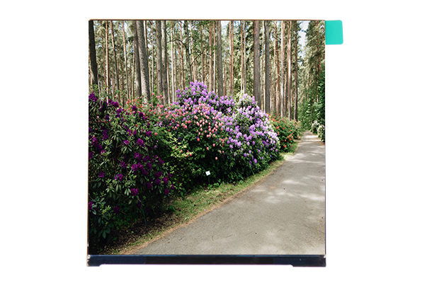 方形屏真的更適合我們嗎？4英寸480×480方形屏的優(yōu)勢與應(yīng)用