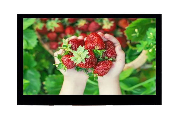 4.3寸800*480 LCD顯示屏：超高分辨率如何提升用戶體驗(yàn)？