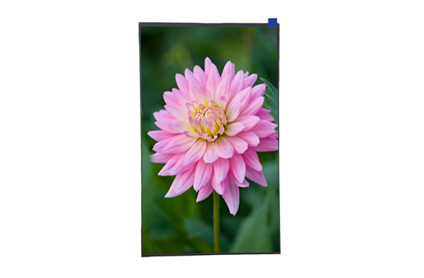 縱向視界的革新：10.95寸1200×1920顯示屏的應(yīng)用潛力與市場價值